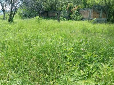 Ayala, Morelos 62715, Mexico