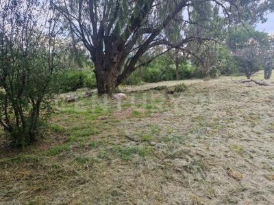 Camino antiguo a Calvillo 209 Villas de Monteclaro,, Jesús Maria, 아과스칼리엔테스 20998, 멕시코