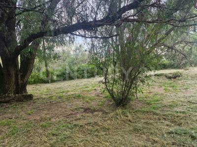 Camino antiguo a Calvillo 209 Villas de Monteclaro,, Jesús Maria, 아과스칼리엔테스 20998, 멕시코