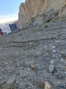 Colinas de Irpavi , La Paz, La Paz 0000, Bolivia