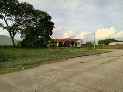 Este, Santa Cruz 00001, Bolivia