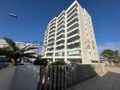 Elqui, Coquimbo 00001, Chile