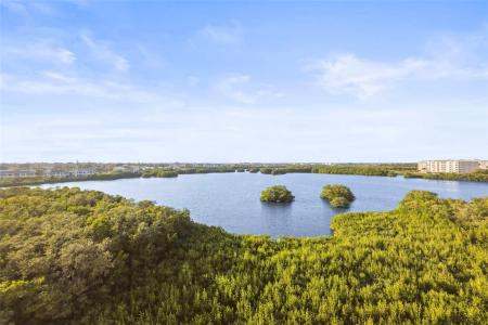 6495 Shoreline Dr. #8502, St. Petersburg, Florida 33708, USA