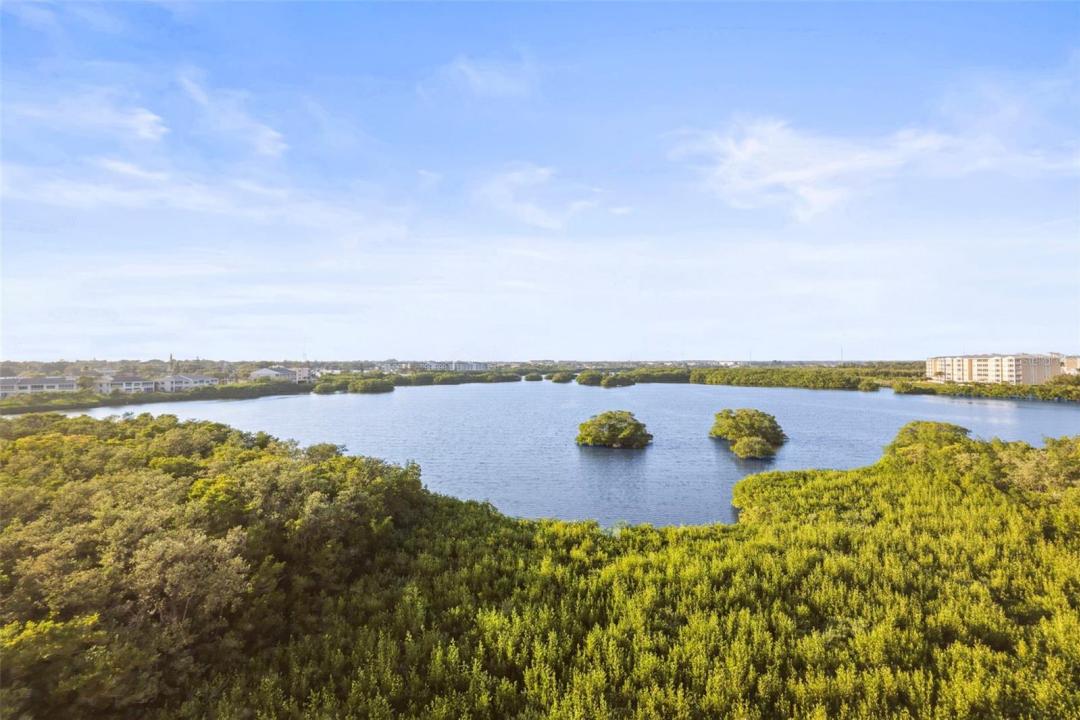 6495 Shoreline Dr. #8502, St. Petersburg, Флорида 33708, Соединенные Штаты