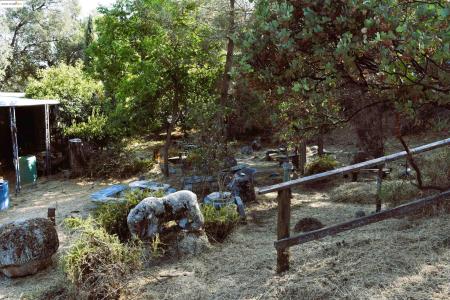 20739 Lower Hillview, Sonora, California 95370