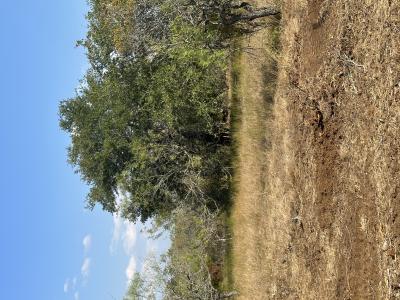 5894 FM 1107 Unit B-Tract 1, Stockdale, Texas 78160, USA