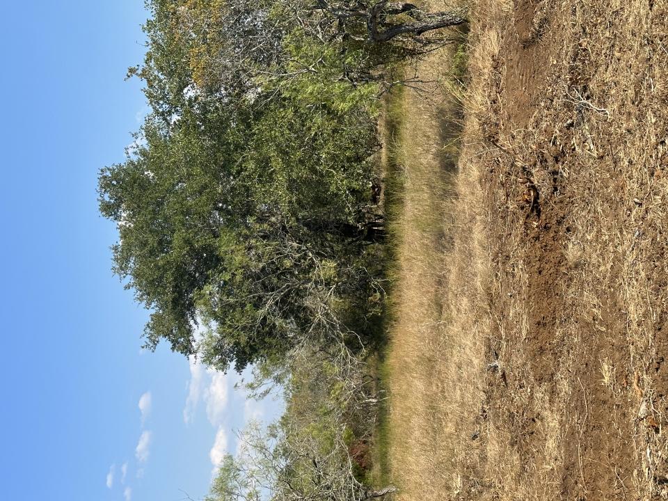 5894 FM 1107 Unit B-Tract 1, Stockdale, Texas 78160