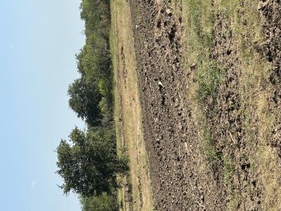 5894 FM 1107 Unit B-Tract 1, Stockdale, Texas 78160