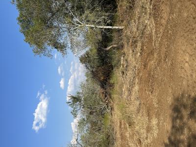 5894 FM 1107 Unit B-Tract 1, Stockdale, Texas 78160