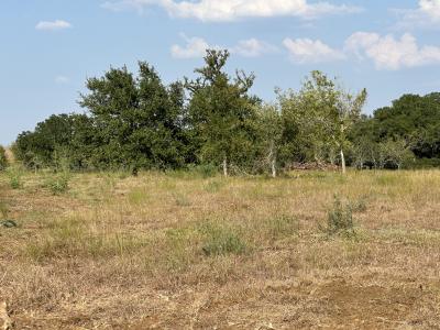 5894 FM 1107 Unit A-Tract 2, Stockdale, Texas 78160, USA