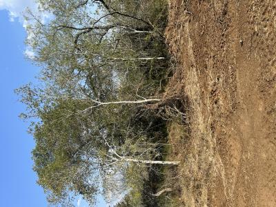 5894 FM 1107 Unit A-Tract 2, Stockdale, Texas 78160