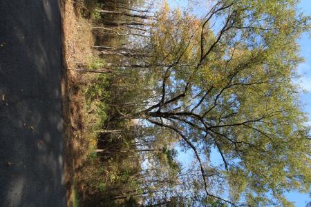 0 Harris Road, Homer, Louisiane 71040, États-Unis