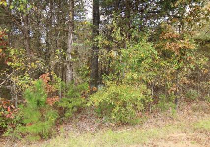 0 Harris Road, Homer, Louisiane 71040, États-Unis