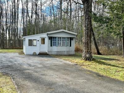 89 Bardeen Road, Hastings, Nowy Jork 13076, USA