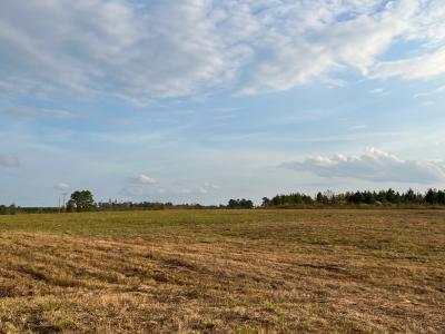 0 Pilcher Road Corner of Highway 191 and Pilcher Road, Many, Louisiana 71449, Stati Uniti