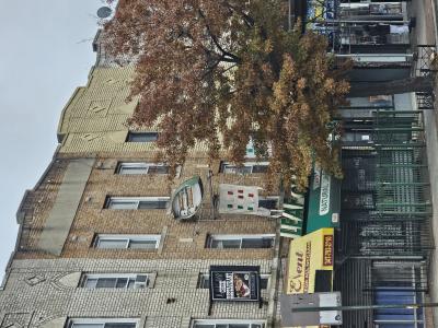 1325 Flatbush Avenue, Brooklyn, ニューヨーク 11226, アメリカ合衆国