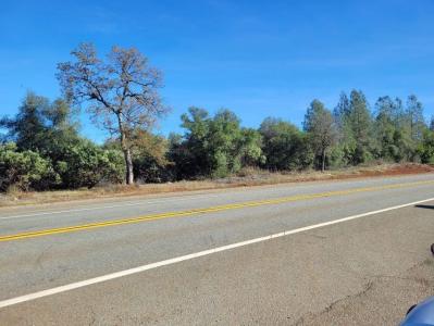 W Hwy 44, Millville, Kaliforniya 96088, Amerika Birleşik Devletleri