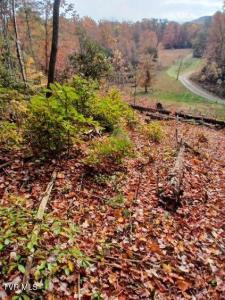 Tbd Fire Station Road, Elizabethton, Tennessee 37643