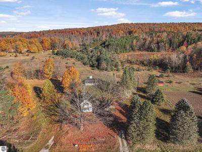 10308 Homestead Road, Beulah, Michigan 49617, USA