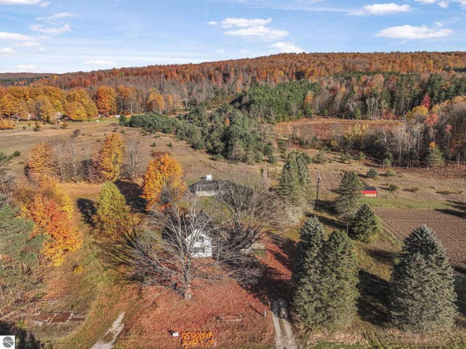 10308 Homestead Road, Beulah, Michigan 49617, Estados Unidos