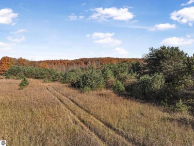 10308 Homestead Road, Beulah, Michigan 49617, Estados Unidos