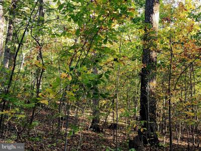 Lots 3 and 4 Ernest Robinson Road, Marshall, バージニア 20115, アメリカ合衆国