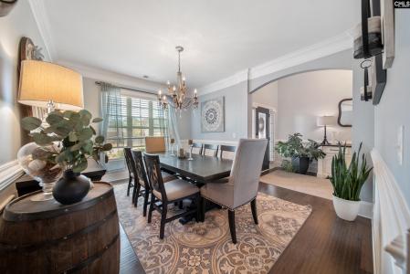 304 Lightning Bug Lane, Lexington, דרום קרוליינה 29072, ארצות הברית של אמריקה 