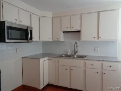 132 June Road, Tonawanda, 紐約州 14217, 美國