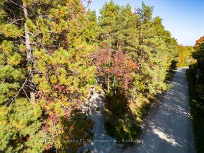 265797 25TH SIDE ROAD, Meaford, 安大略省 N4L 1W5, 加拿大