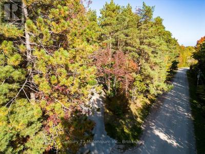 265797 25TH SIDEROAD, Meaford, Ontario N4L 1W5, CANADÁ