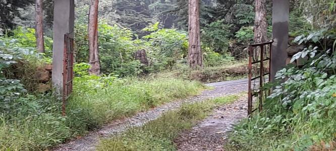 Copey Dota, San José 11703, Costa Rica