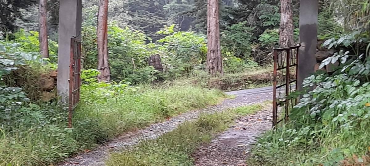 Copey Dota, San José 11703, Kosta Rika