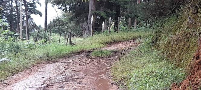 Copey Dota, San José 11703, Kosta Rika