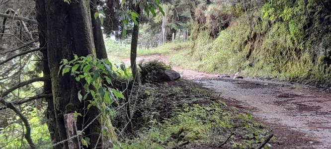 Copey Dota, San José 11703, Kosta Rika