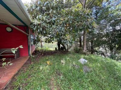 Copey Dota, San José 11703, Kosta Rika