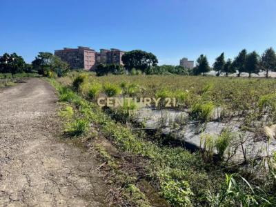 大華國小美田(投資價), 蘆竹區, 타오 위엔 338, 대만