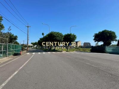 大華國小美田(投資價), 蘆竹區, 타오 위엔 338, 대만