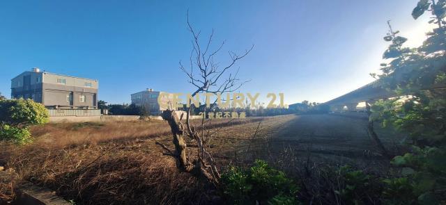 正台61角地一般農+33, 新屋區, تاويوان مدينة 327, تايوان