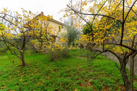 via de pretis, Mascalucia, Sicilia 95030, Italia