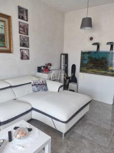 Via Sant'Ambrogio, Seveso, Lombardia 20822, איטליה