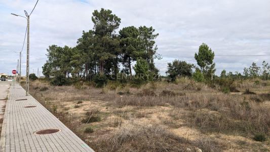 Palmela, 塞圖巴爾 2950-680, 葡萄牙