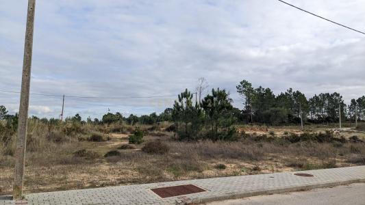 Palmela, 塞圖巴爾 2950-680, 葡萄牙