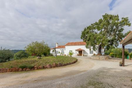 Setubal, Setubal 2925-346, Portugal