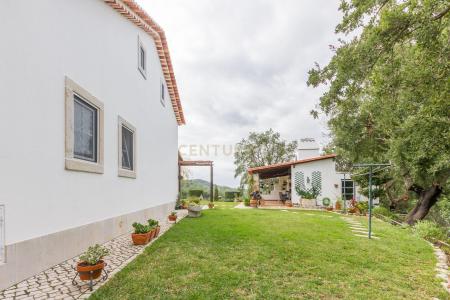 Setubal, Setubal 2925-346, Portugal