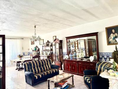 Montijo, Setúbal 2870-001, Bồ Đào Nha