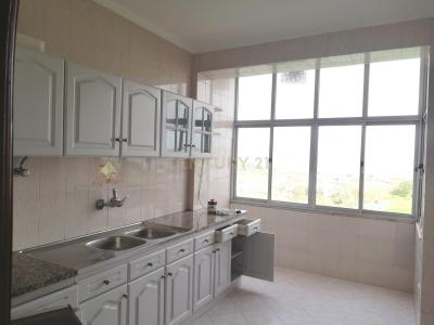 Barreiro, 塞圖巴爾 2835-436, 葡萄牙