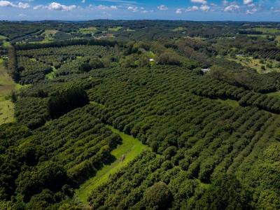 Mcleans Ridges, NSW 2480, Australia