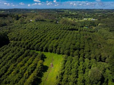 Mcleans Ridges, NSW 2480, Australia