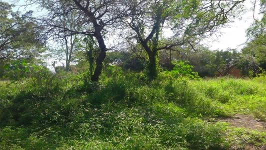 Komatipoort, 음봄벨라, 남아프리카