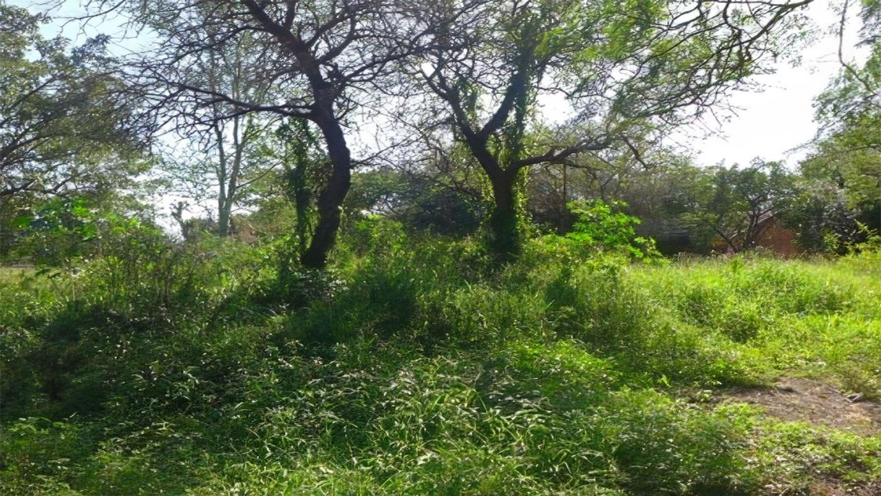 Komatipoort, 음봄벨라, 남아프리카